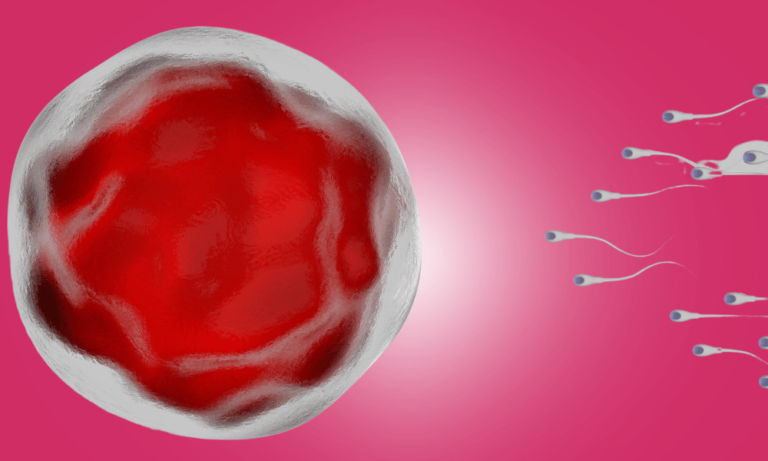 Semen Freezing Treatment in Bangalore