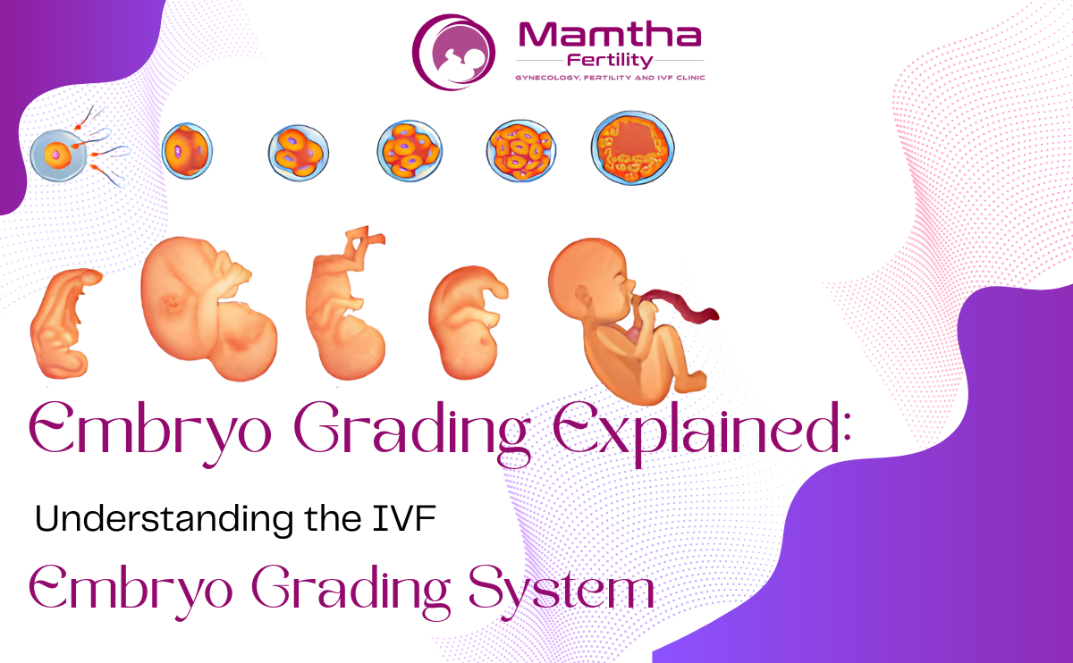 Embryo Grading System Explaination